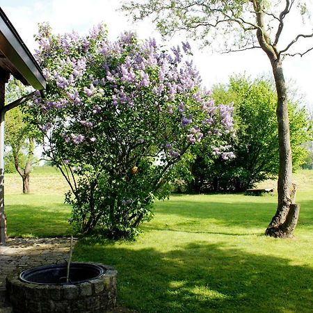Fewos In Klein-Grindau Schwarmstedt Extérieur photo