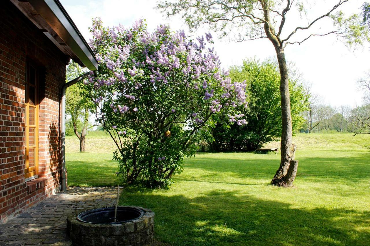 Fewos In Klein-Grindau Schwarmstedt Extérieur photo