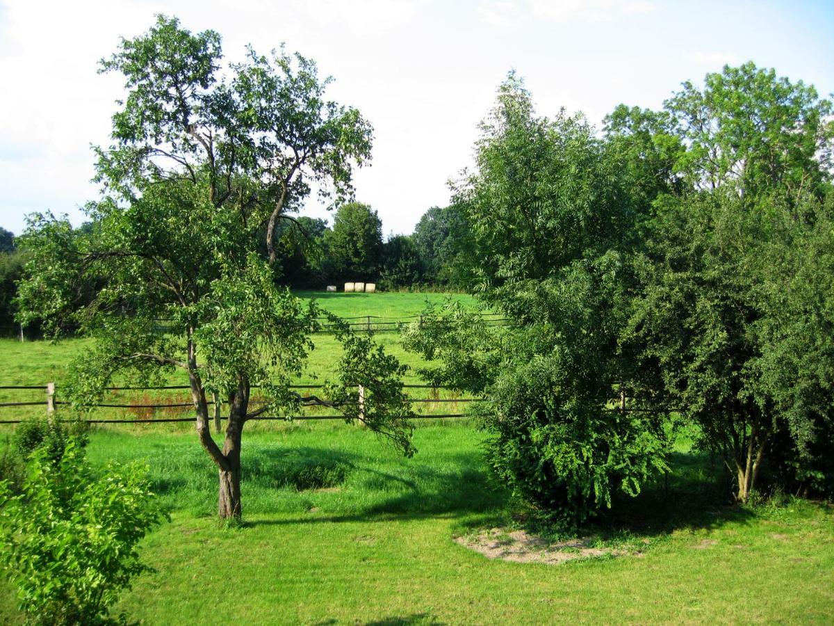 Fewos In Klein-Grindau Schwarmstedt Extérieur photo